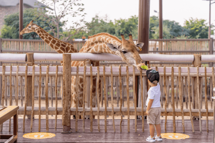 Visit Fort Wayne Zoo to Experience